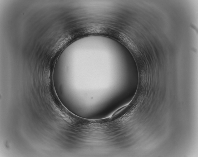 X0000095110490200712211324