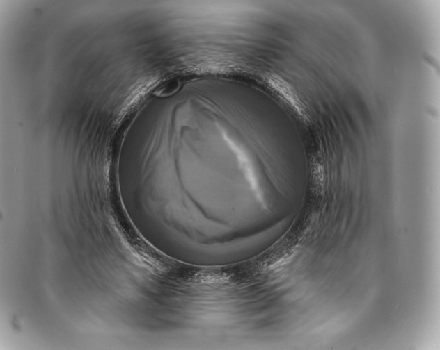 X0000095110491200712211324