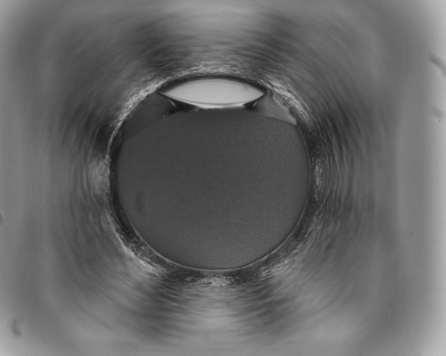 X0000095110492200712211324