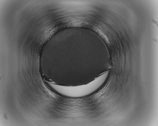 X0000095110493200712211324