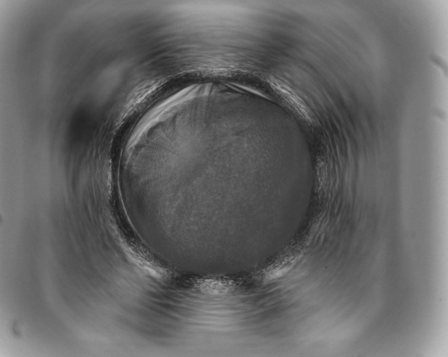 X0000095110494200712211324