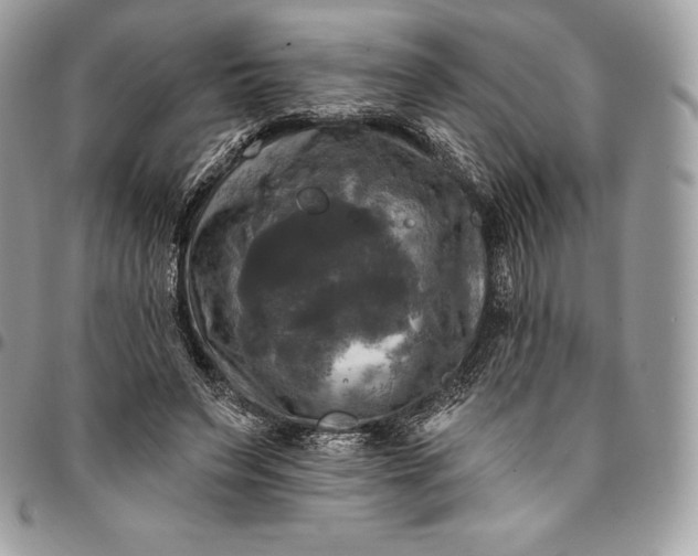 X0000095110495200712211324