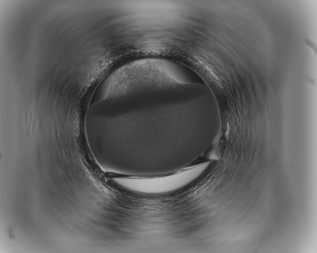 X0000095110496200712211324