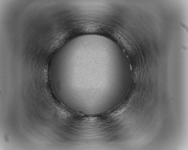 X0000095110497200712211324