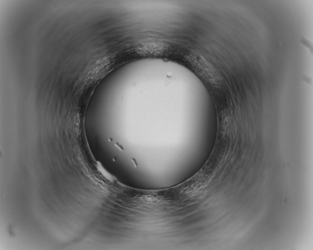 X0000095110498200712211324