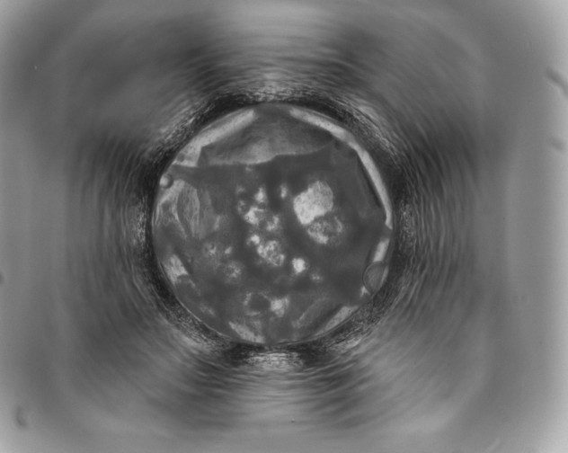 X0000095110499200712211324