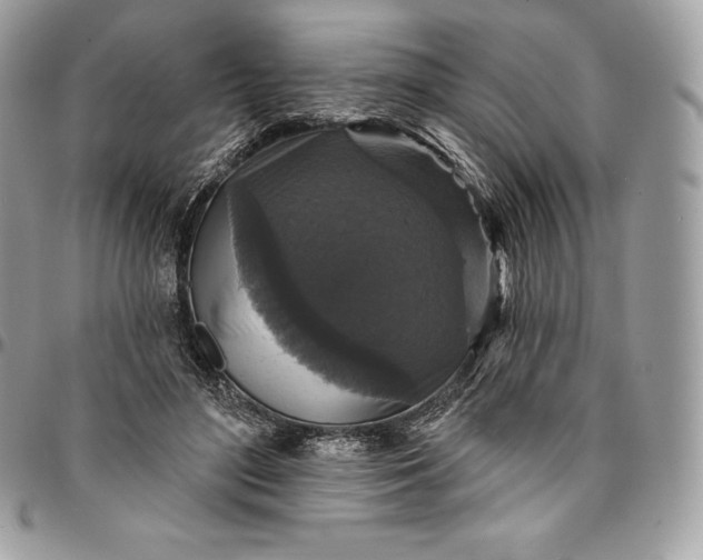 X0000095110500200712211324