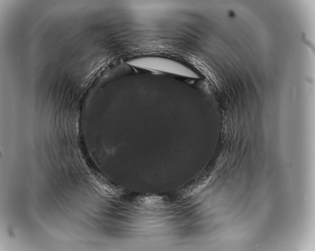 X0000095110501200712211324