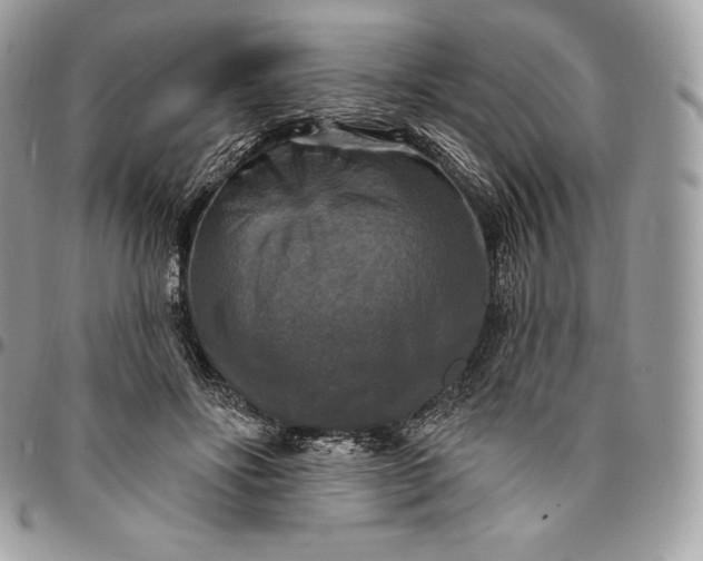 X0000095110502200712211324