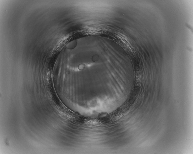 X0000095110503200712211324