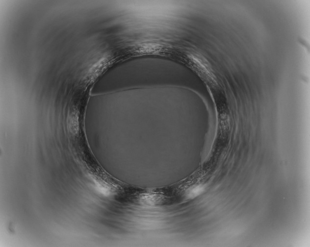 X0000095110504200712211324