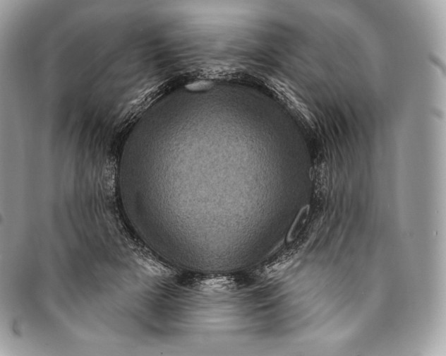 X0000095110505200712211324