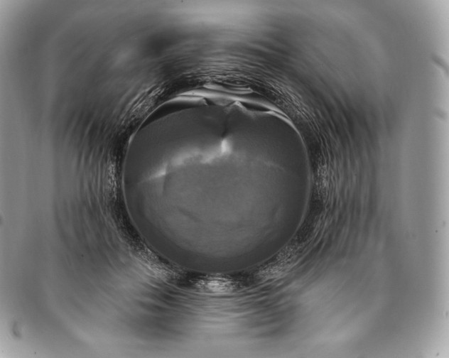 X0000095110506200712211324