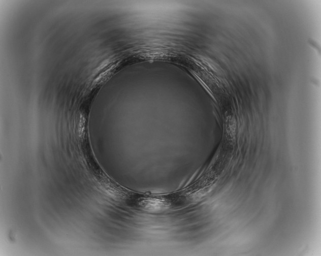 X0000095110507200712211324