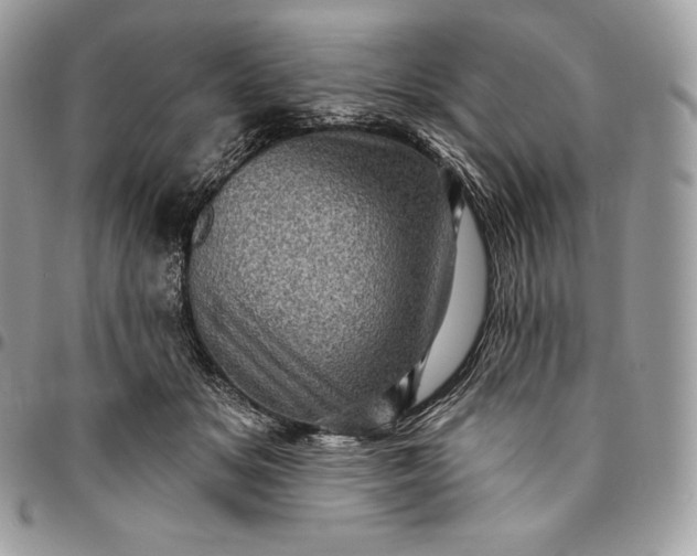 X0000095110509200712211324