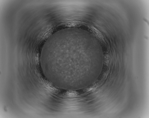 X0000095110510200712211324