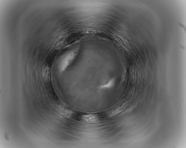 X0000095110511200712211324