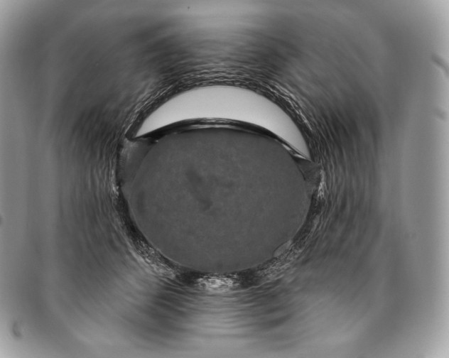 X0000095110512200712211324