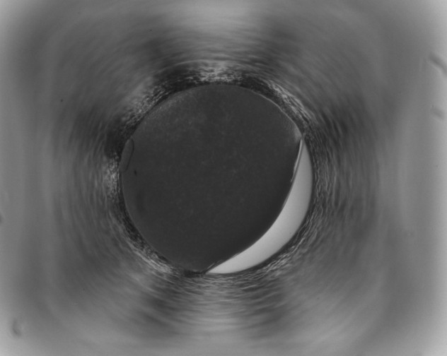 X0000095110513200712211324