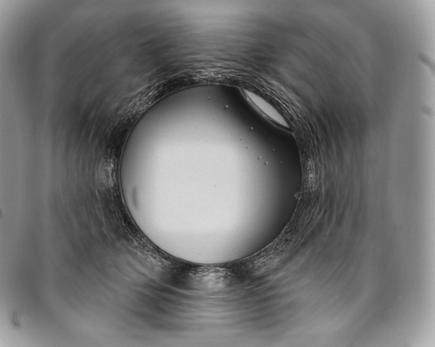 X0000095110514200712211324