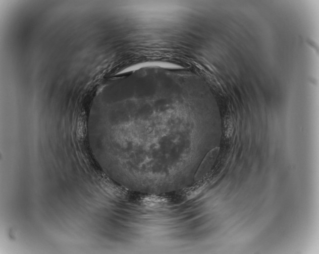 X0000095110515200712211324