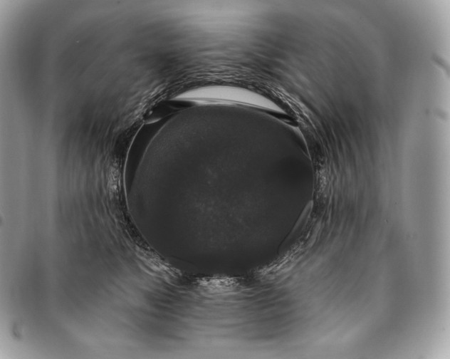 X0000095110517200712211323