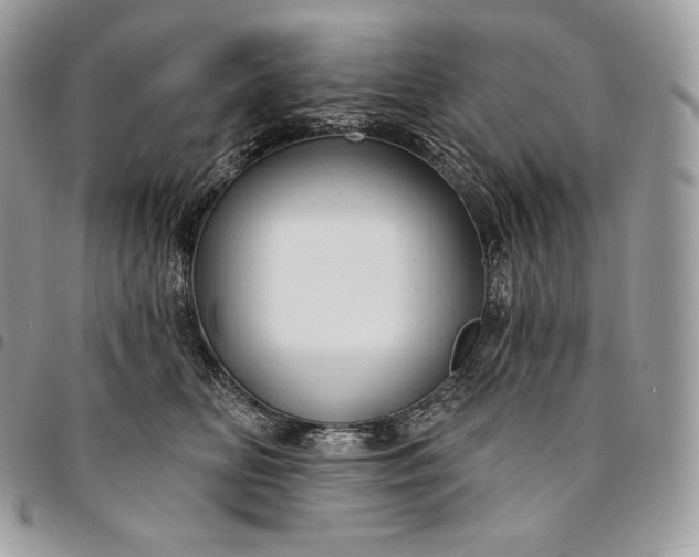 X0000095110518200712211323