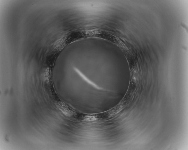 X0000095110519200712211323