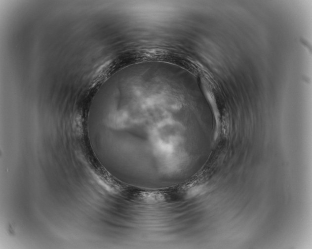 X0000095110520200712211323