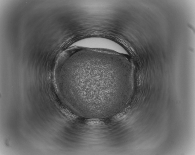 X0000095110521200712211323