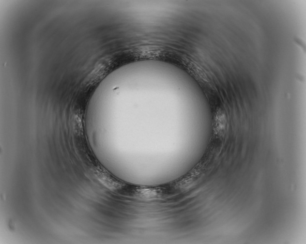 X0000095110522200712211323