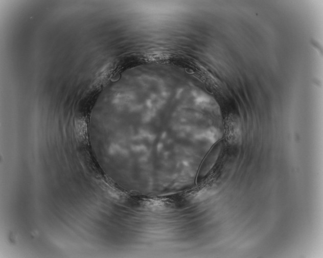 X0000095110523200712211323