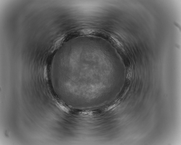 X0000095110524200712211323