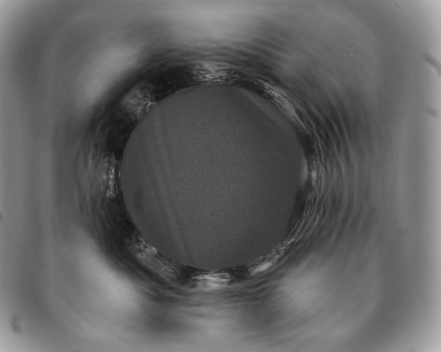 X0000095110525200712211323