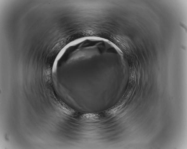 X0000095110526200712211323