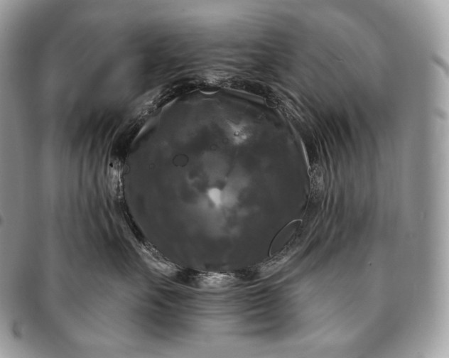 X0000095110527200712211323