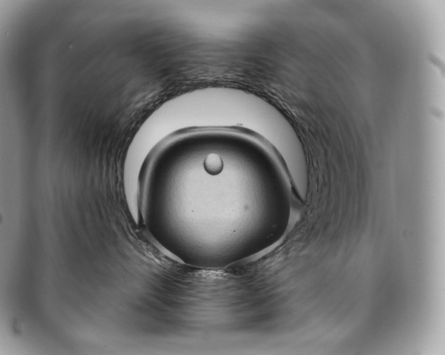 X0000095110528200712211323