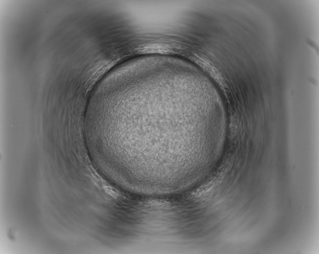 X0000095110529200712211323