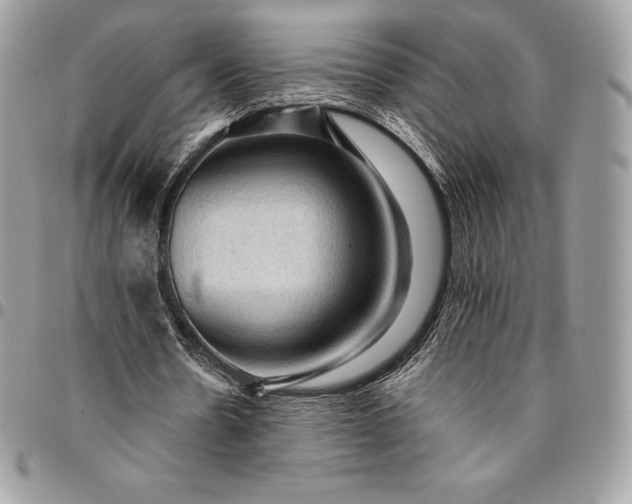 X0000095110530200712211323