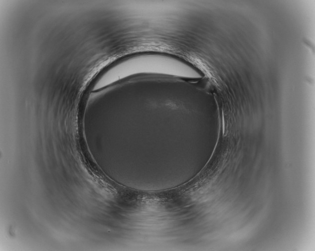 X0000095110531200712211323