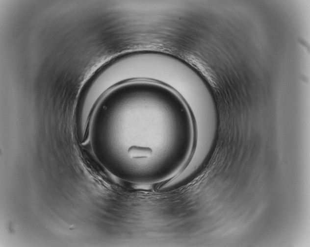 X0000095110532200712211323