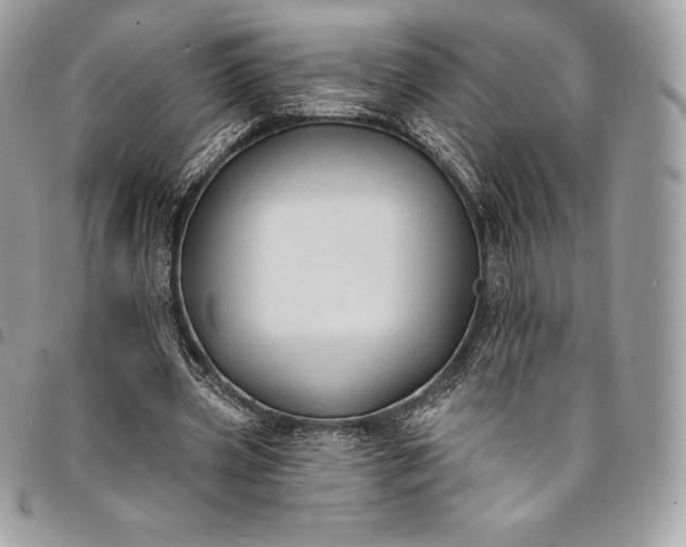 X0000095110533200712211323