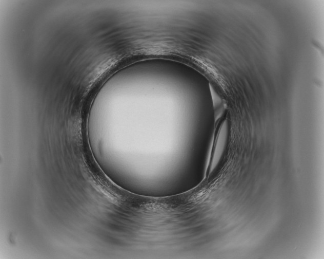 X0000095110535200712211323