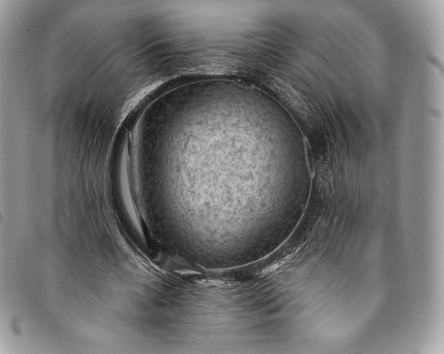 X0000095110536200712211323