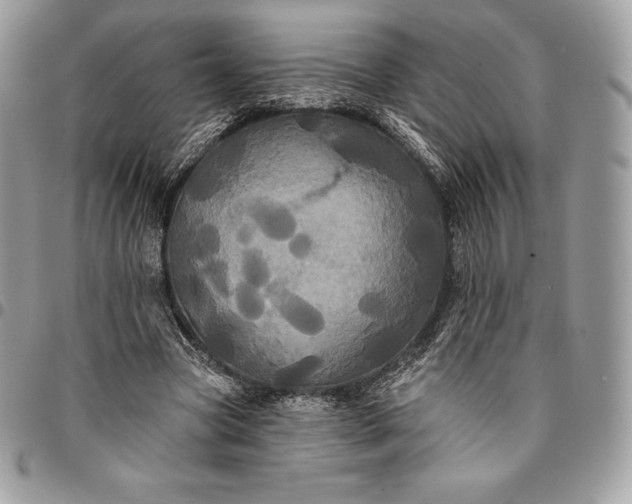 X0000095110537200712211323