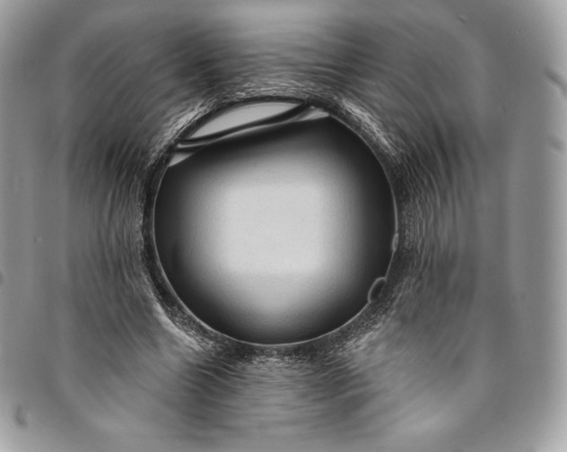 X0000095110538200712211323