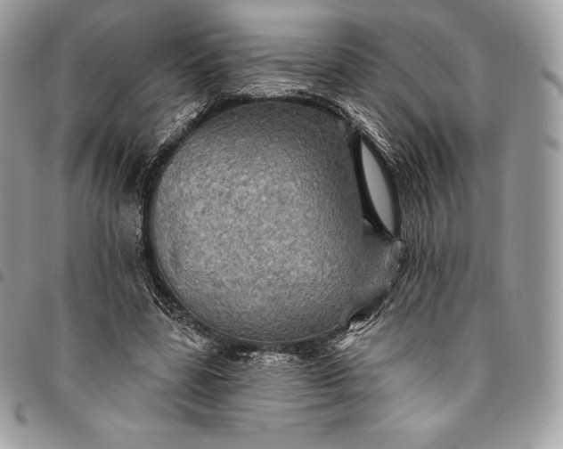 X0000095110539200712211323