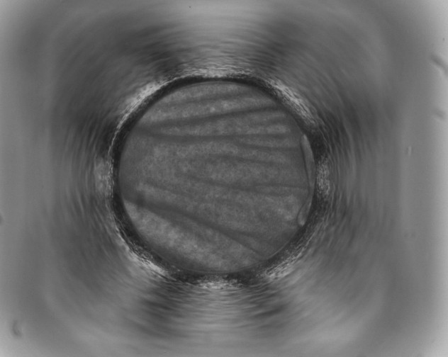 X0000095110540200712211323