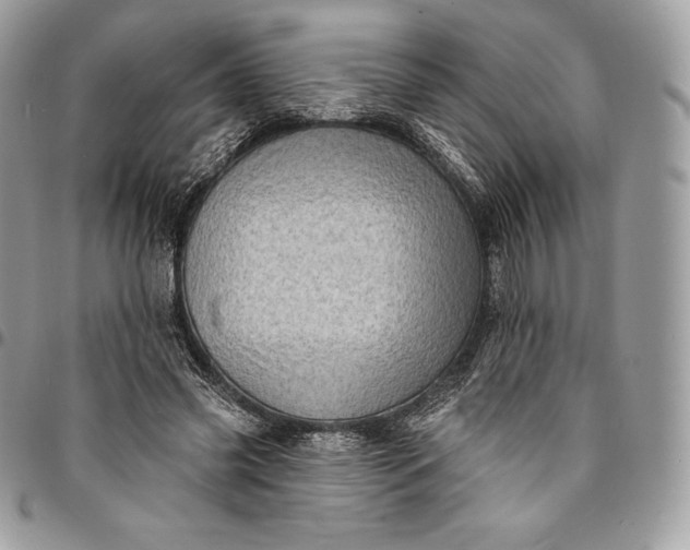 X0000095110541200712211323