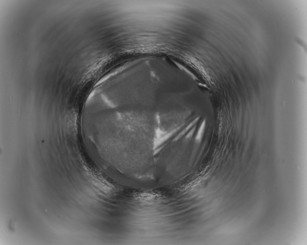 X0000095110542200712211323